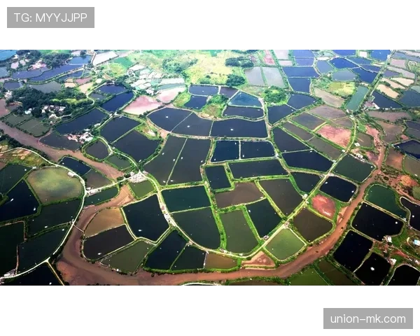 沙勒罗瓦未来规划蓝图发布,聚焦可持续发展与城市复兴的长期目标 沙勒罗瓦未来规划蓝图发布,聚焦可持续发展与城市复兴的长期目标